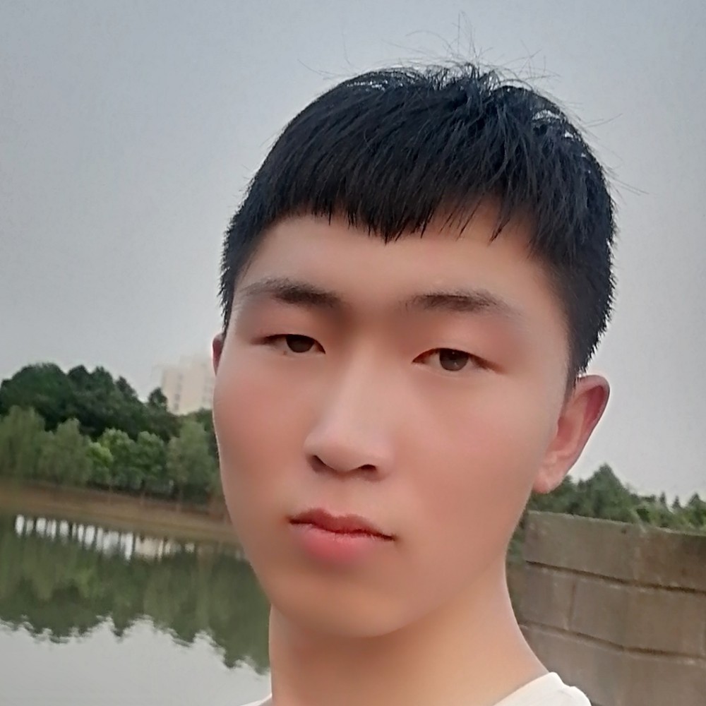 硬币初夏的照片