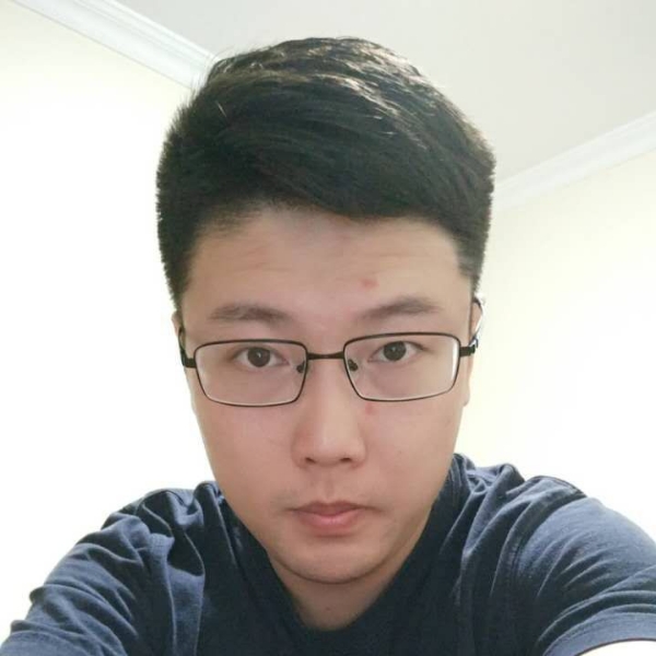 凤凰回闪的照片