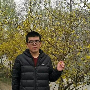 衬衫的独寂的照片
