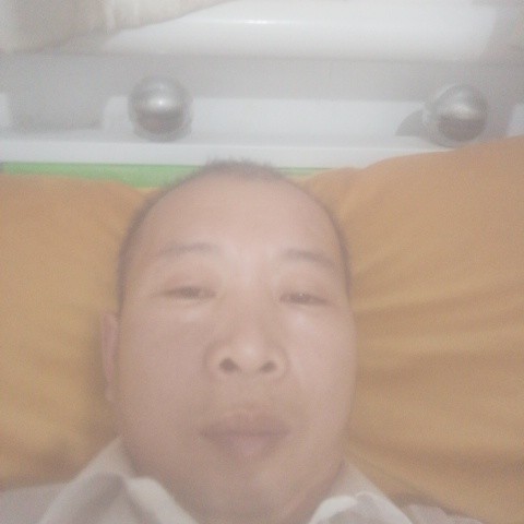 聪慧扯牛排的照片