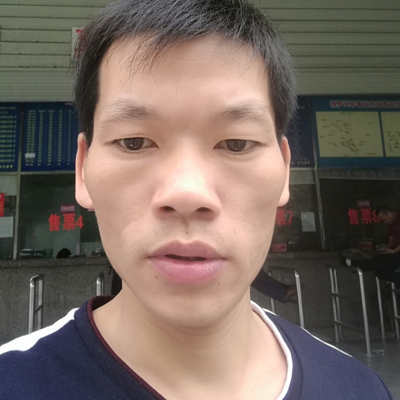 开朗鸵鸟的照片