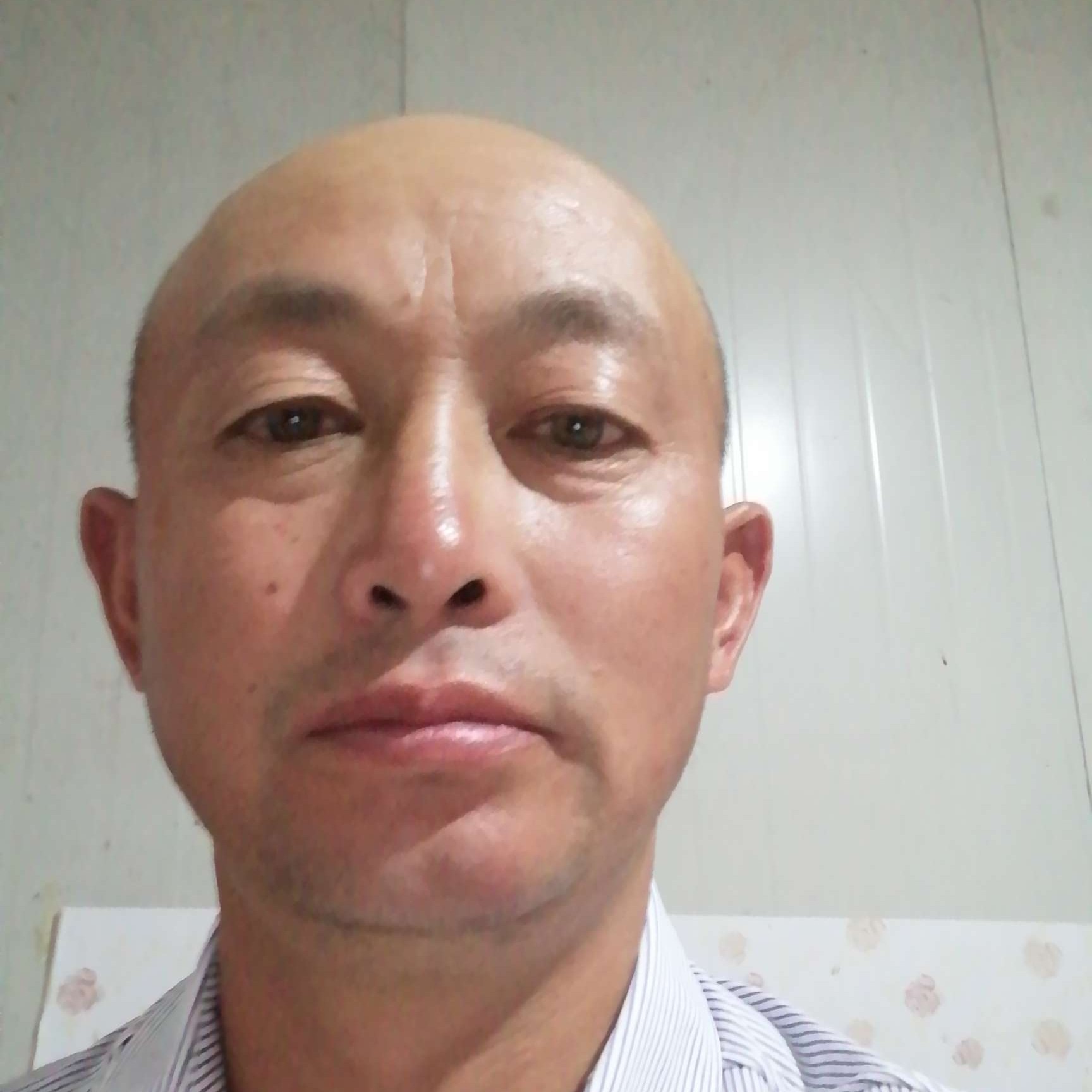 草莓多么重要的照片