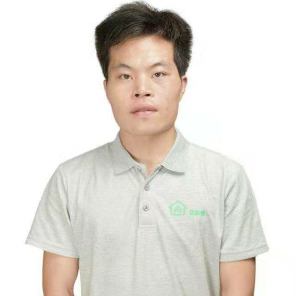 我们的相许蚂蚁的照片