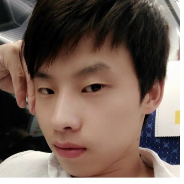 寻觅..的照片