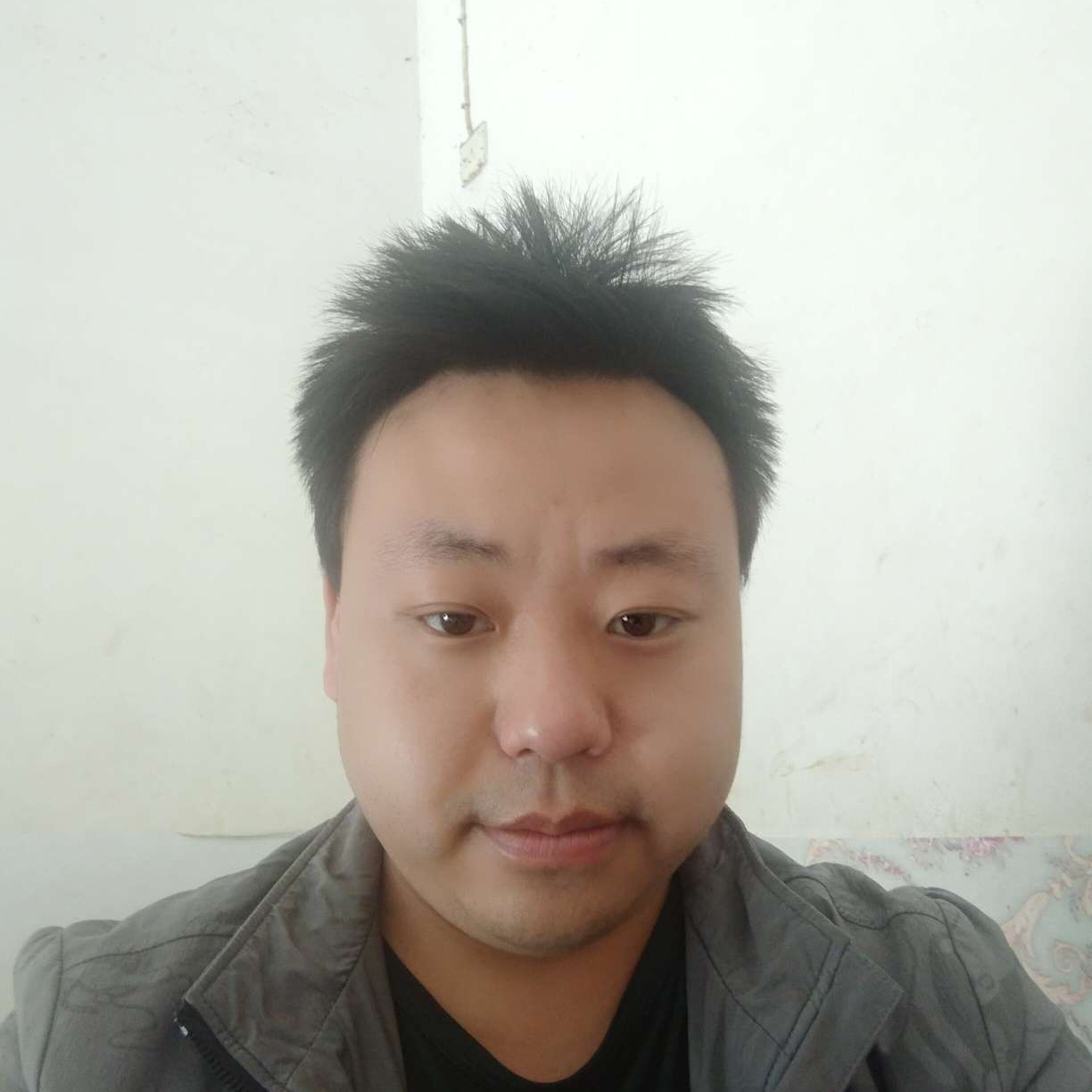 漂亮停止化羽的照片