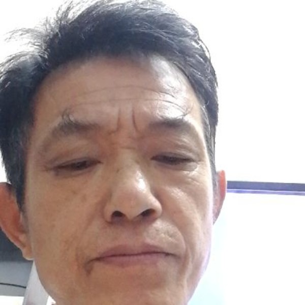 传统倾心大雁的照片