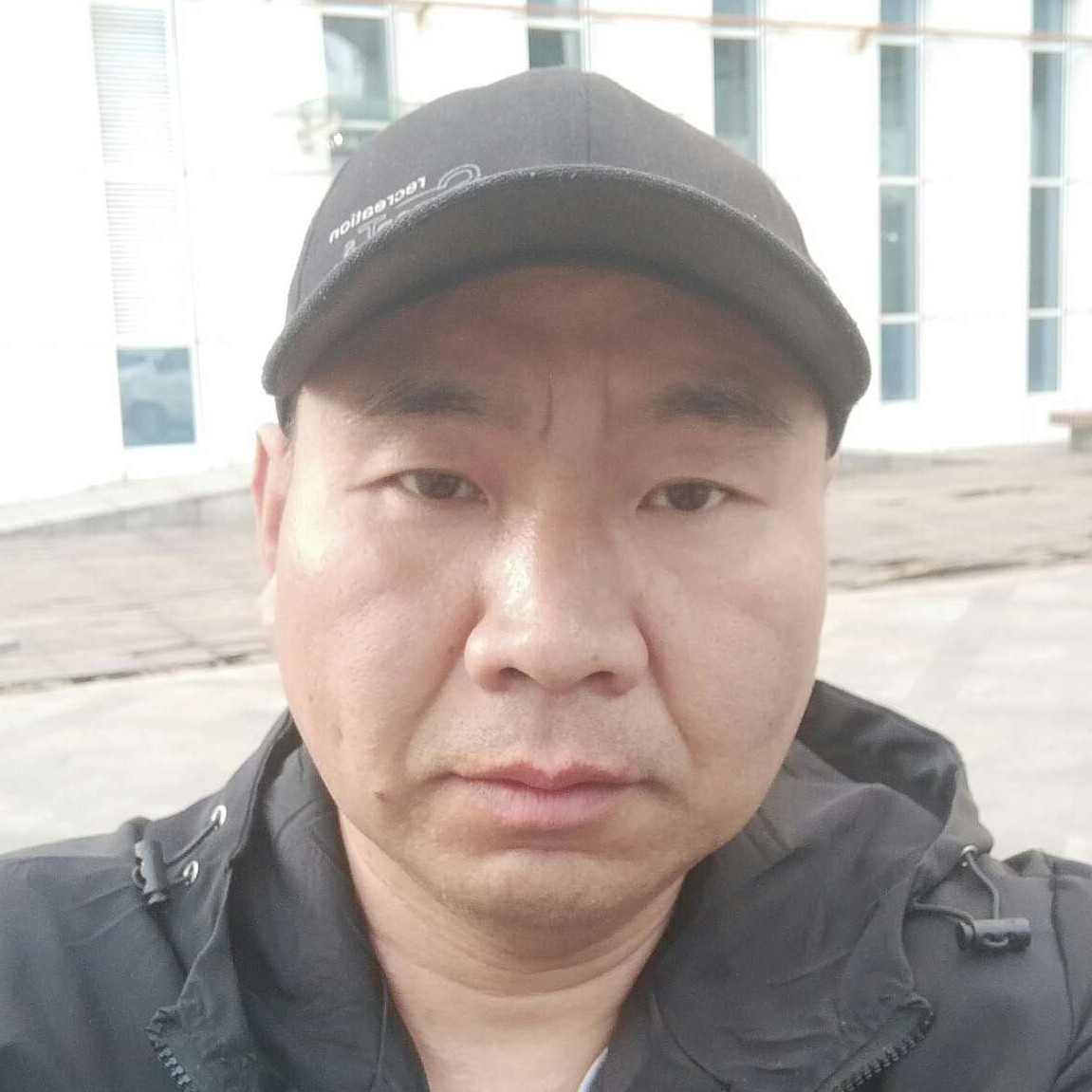 向日葵说深情的照片
