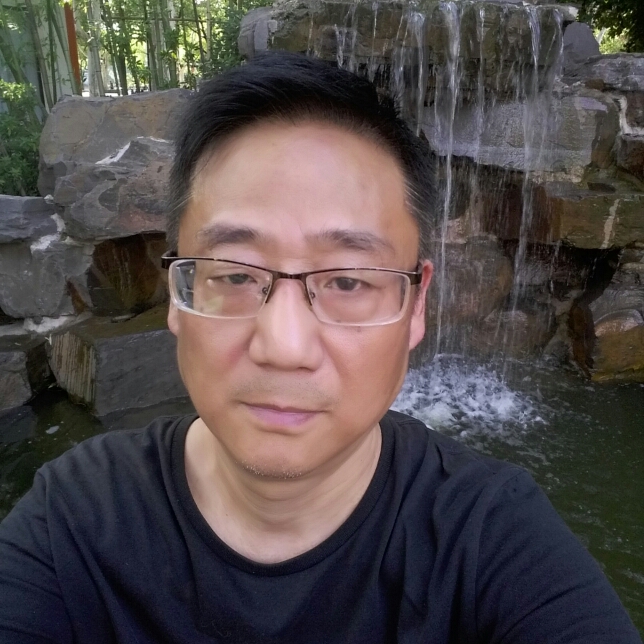 海里的鱼的照片