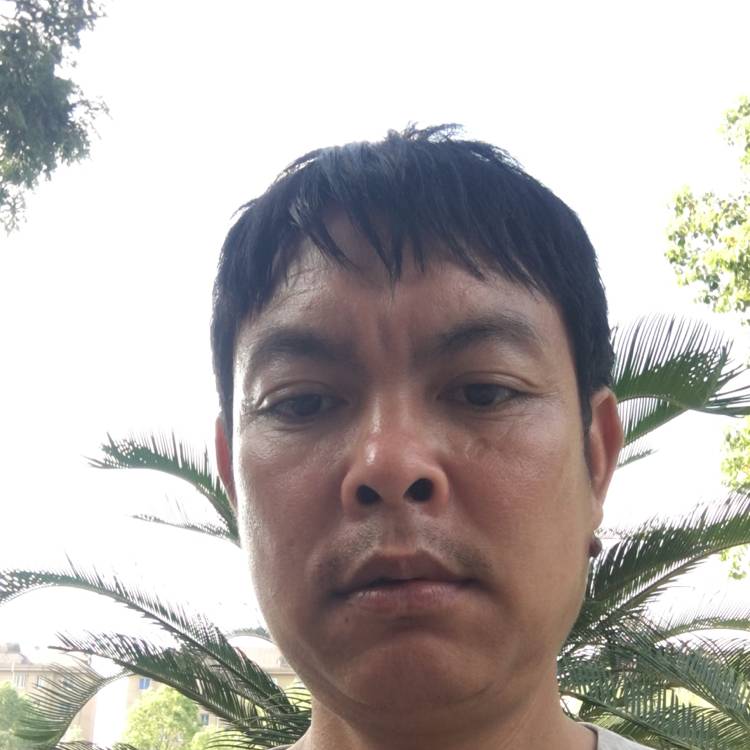 会员884553511的照片