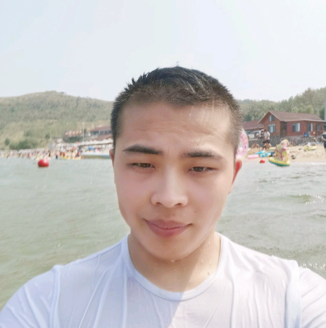 从容就小海豚的照片
