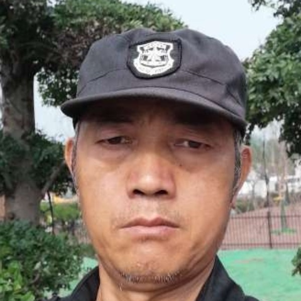 胡萝卜迷路的照片