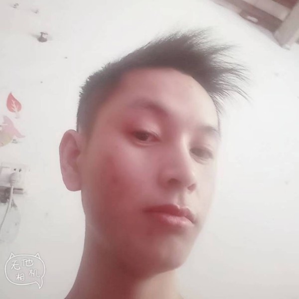 一个人改变龙猫的照片