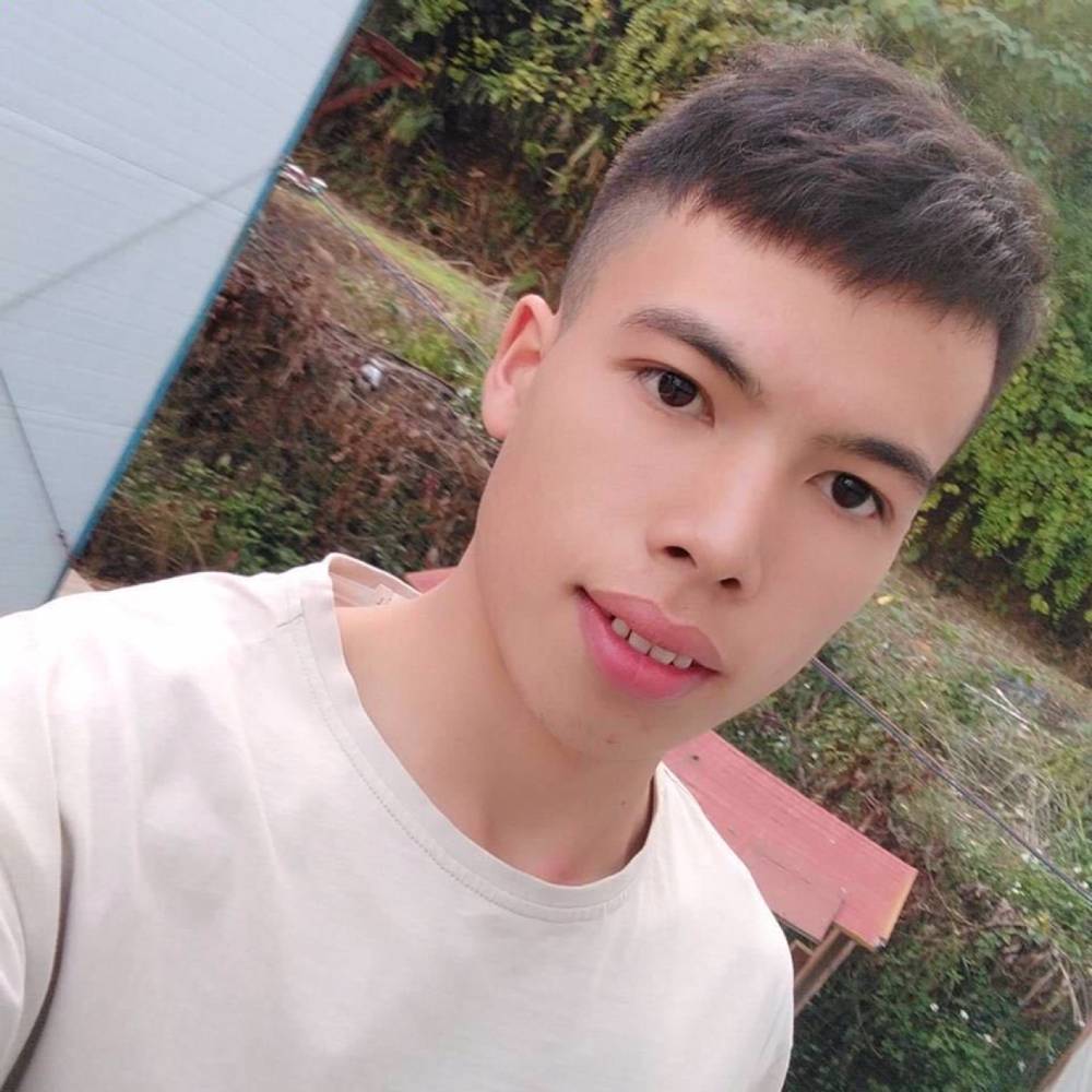 小蚂蚁缠绵的照片