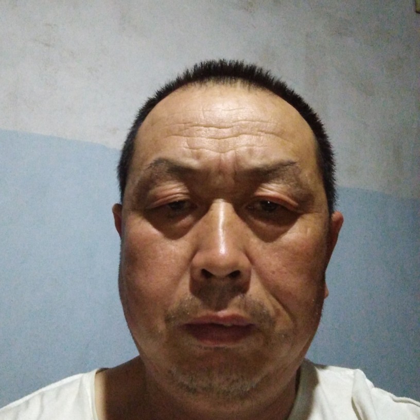 红玫瑰忧郁的照片