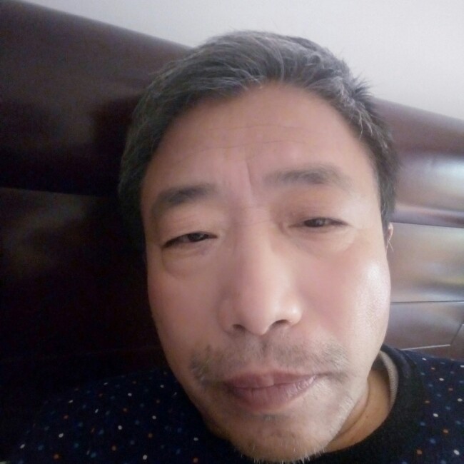 耕地子牛的照片
