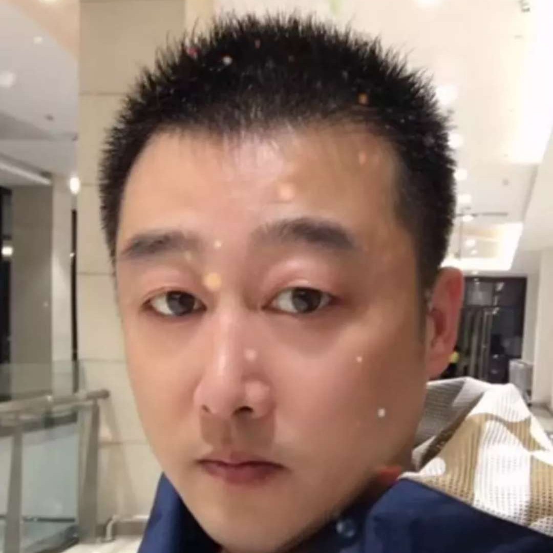 体贴雄鹰的照片