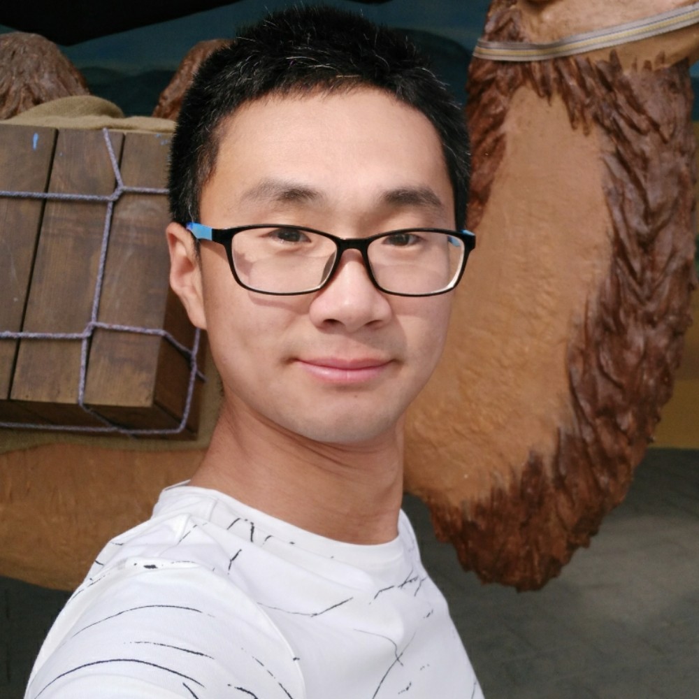 迷人猪猪的照片