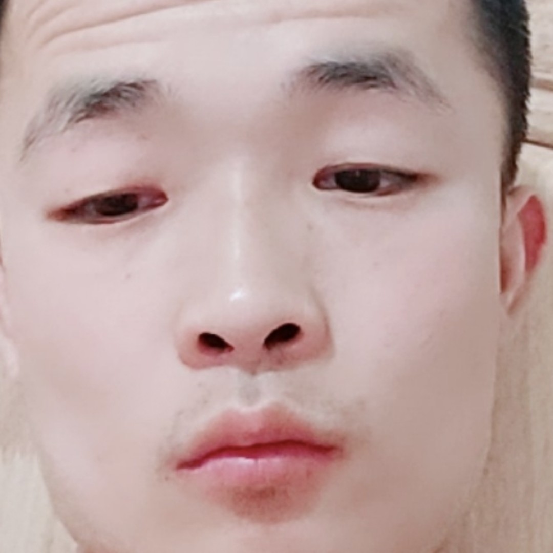 健壮爱犀牛的照片
