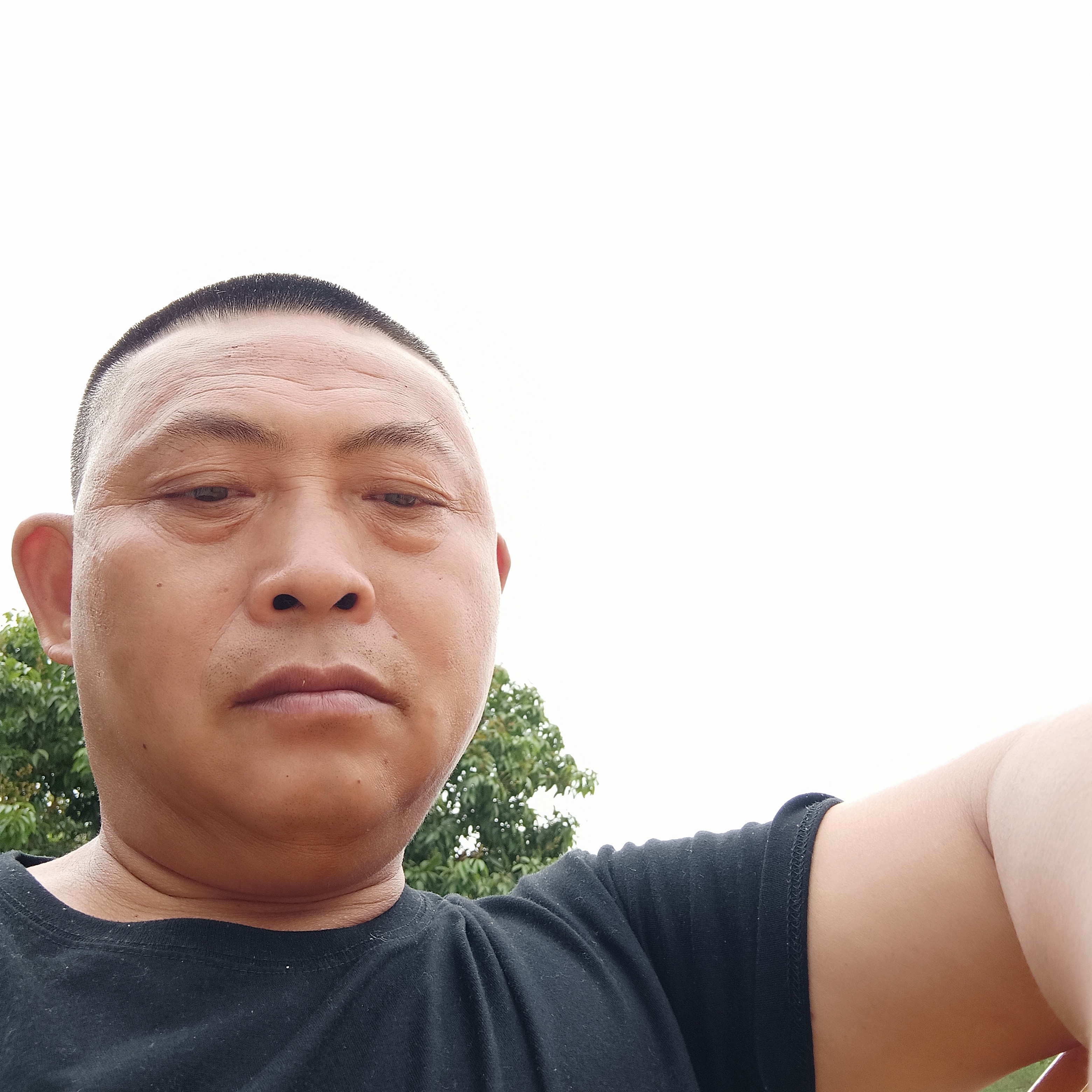舒服的星月的照片