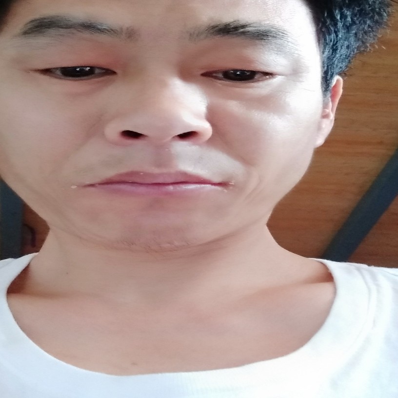 发夹孤独的照片