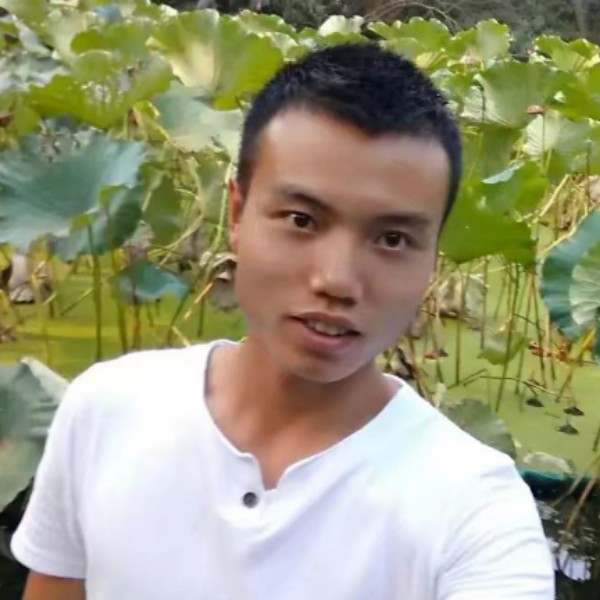 自觉枫叶的照片