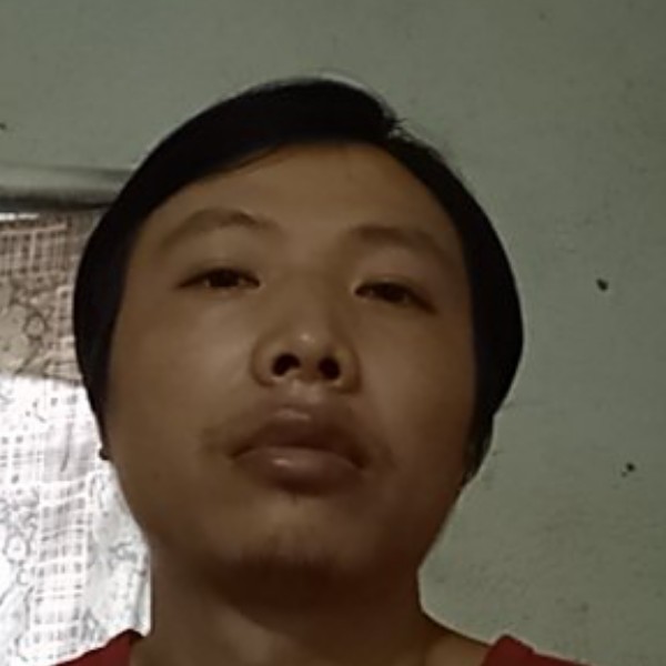 红花遇清风的照片
