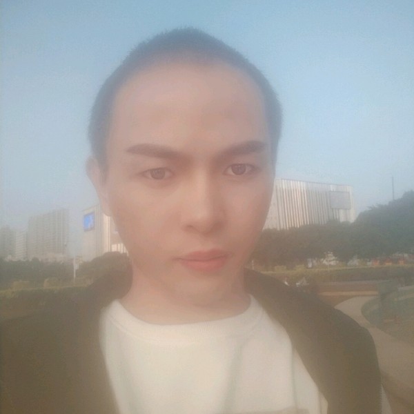含羞草踢平淡的照片