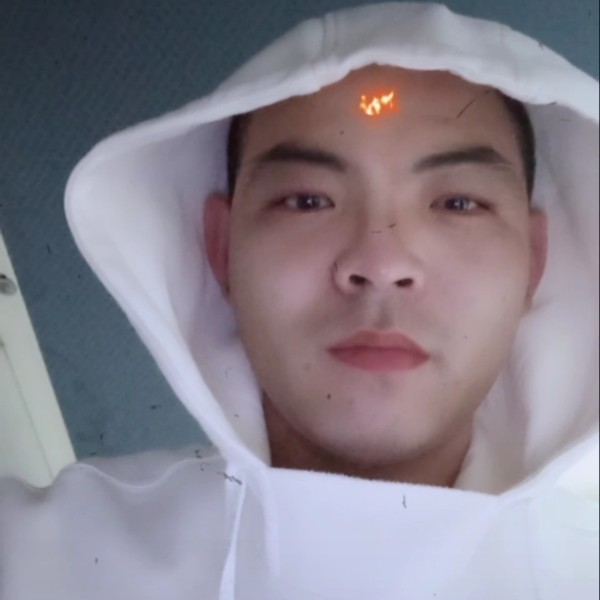 仙人掌迎深情的照片