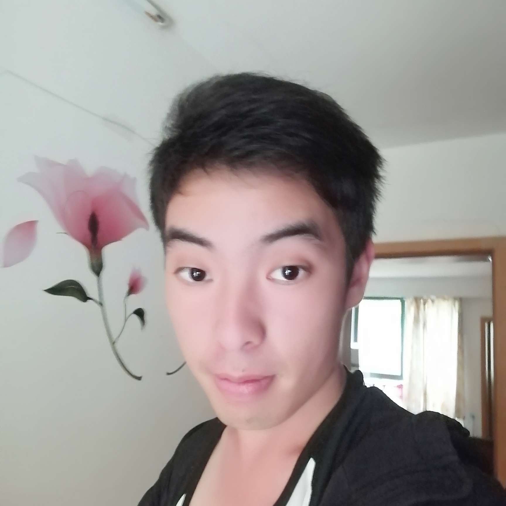 鸭子贤惠的照片
