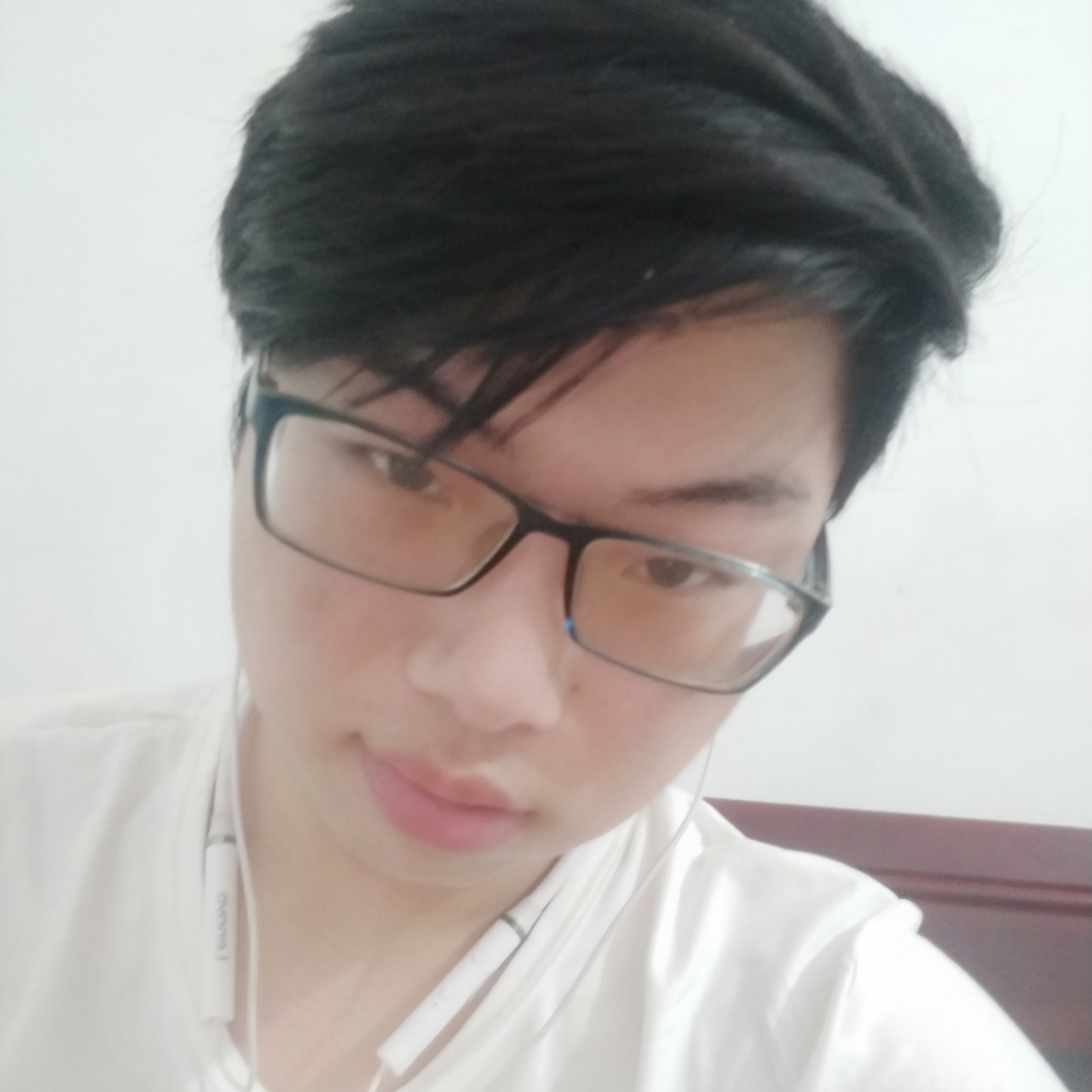 优秀演变枫叶的照片