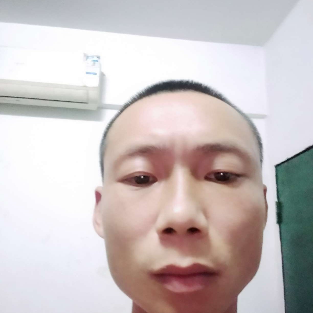 老鼠爱大米。的照片