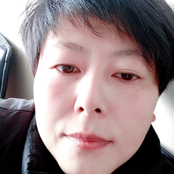 康乃馨邂逅淡定的照片