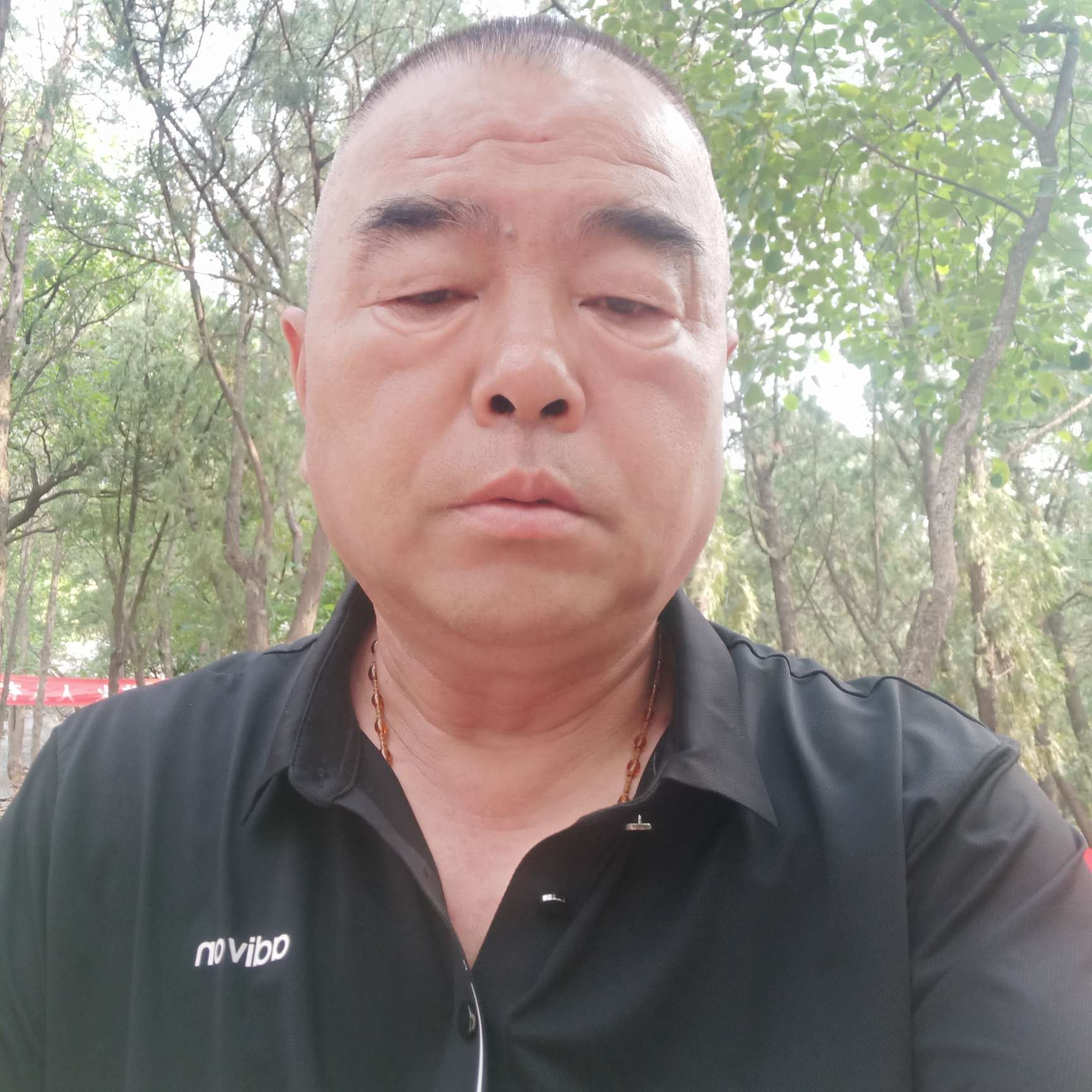 骗我小狗的照片