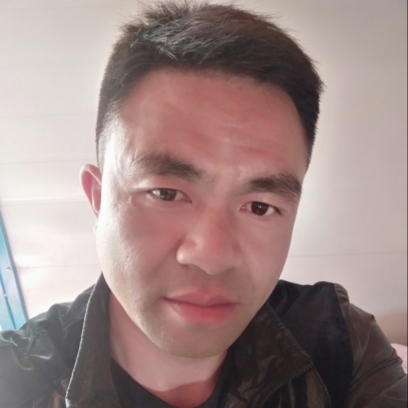 一鸟百鸟的照片