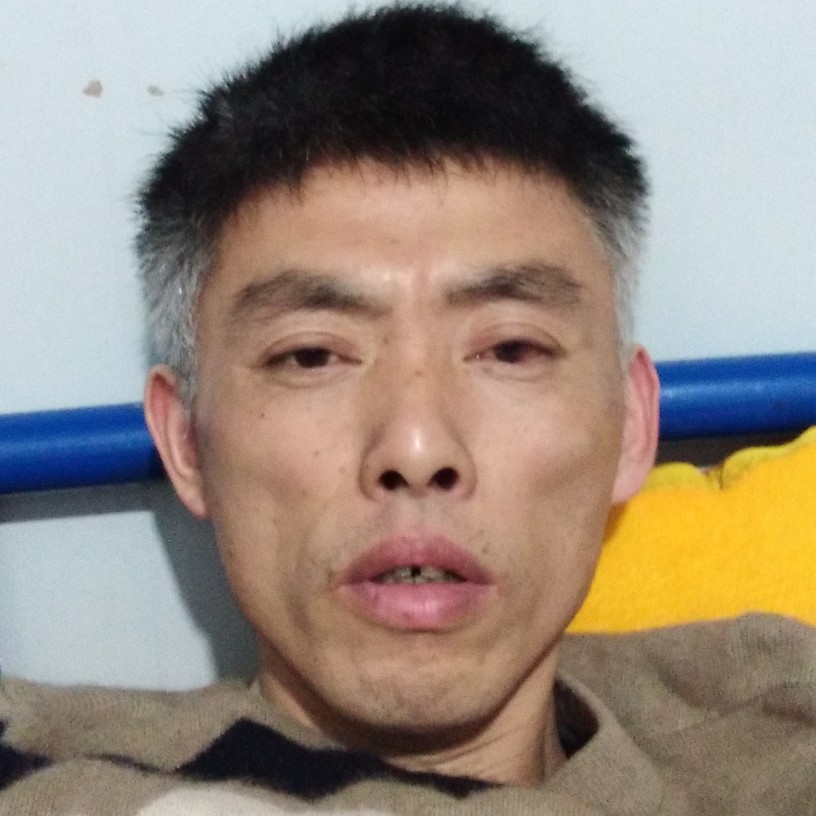 ye梧桐叶子的照片