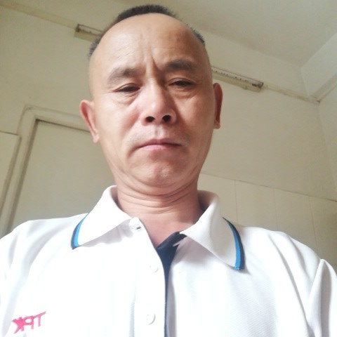 傲娇蹙眉黄蜂的照片