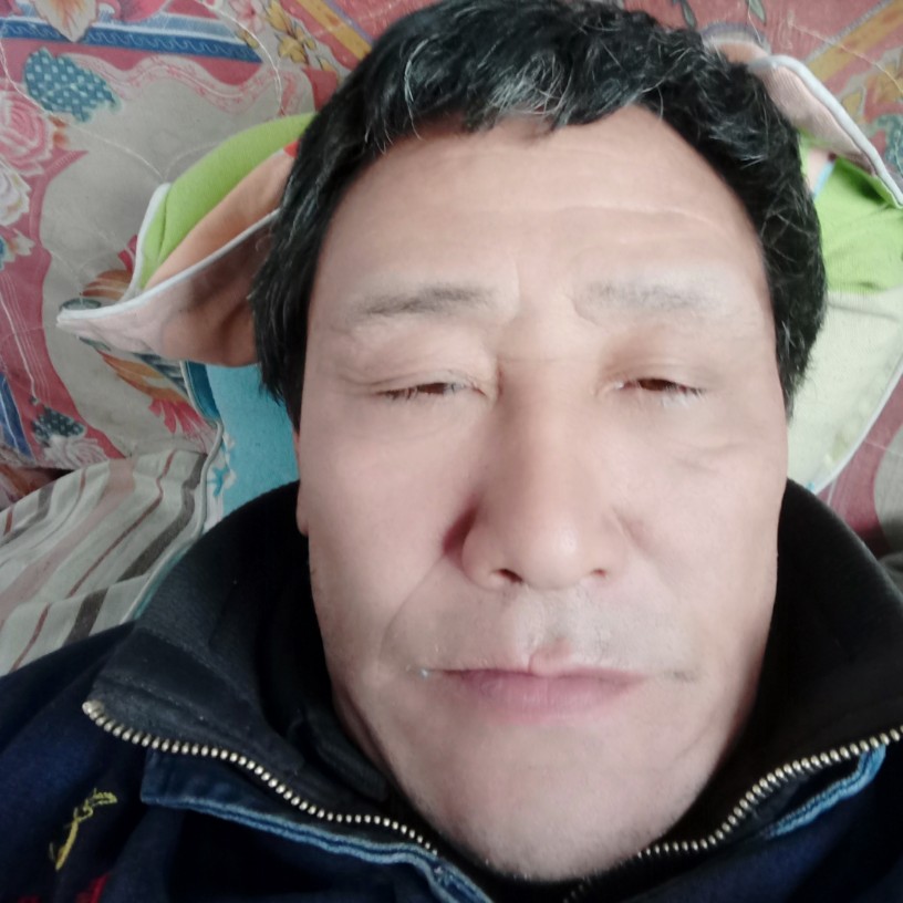 荔枝相许多情的照片
