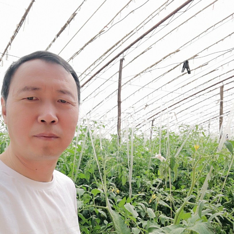 会员585823344的照片