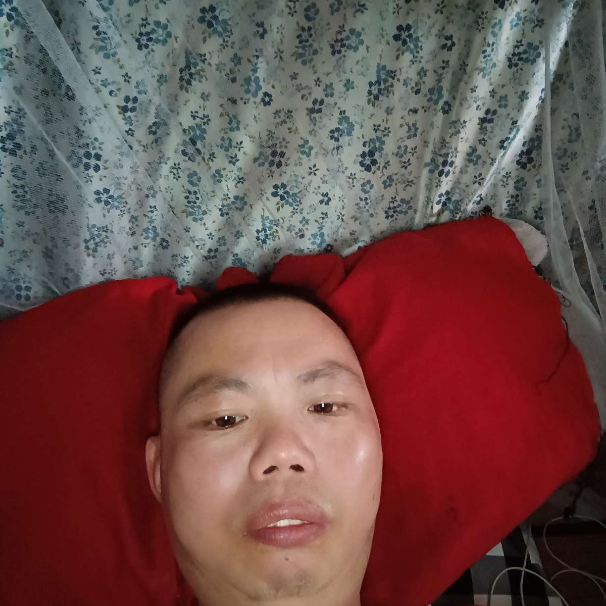 努力向上的照片