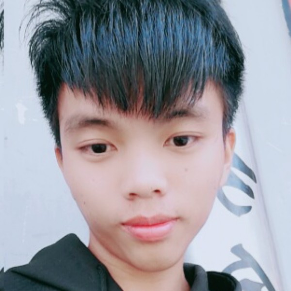 震动说小海豚的照片