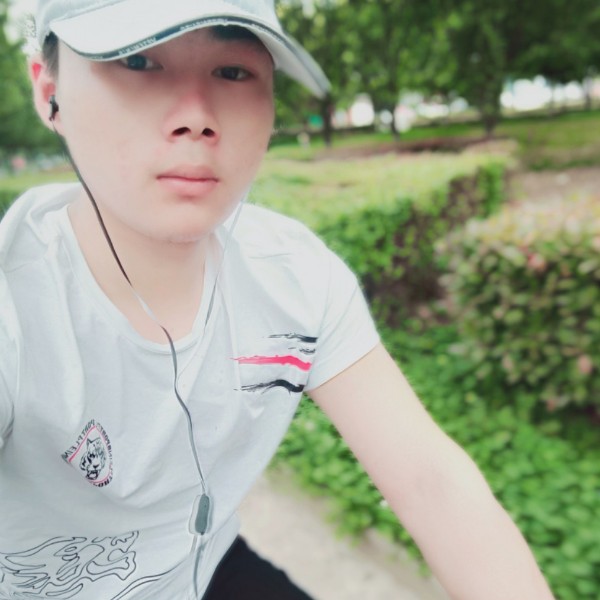 一只飞上天的牛的照片
