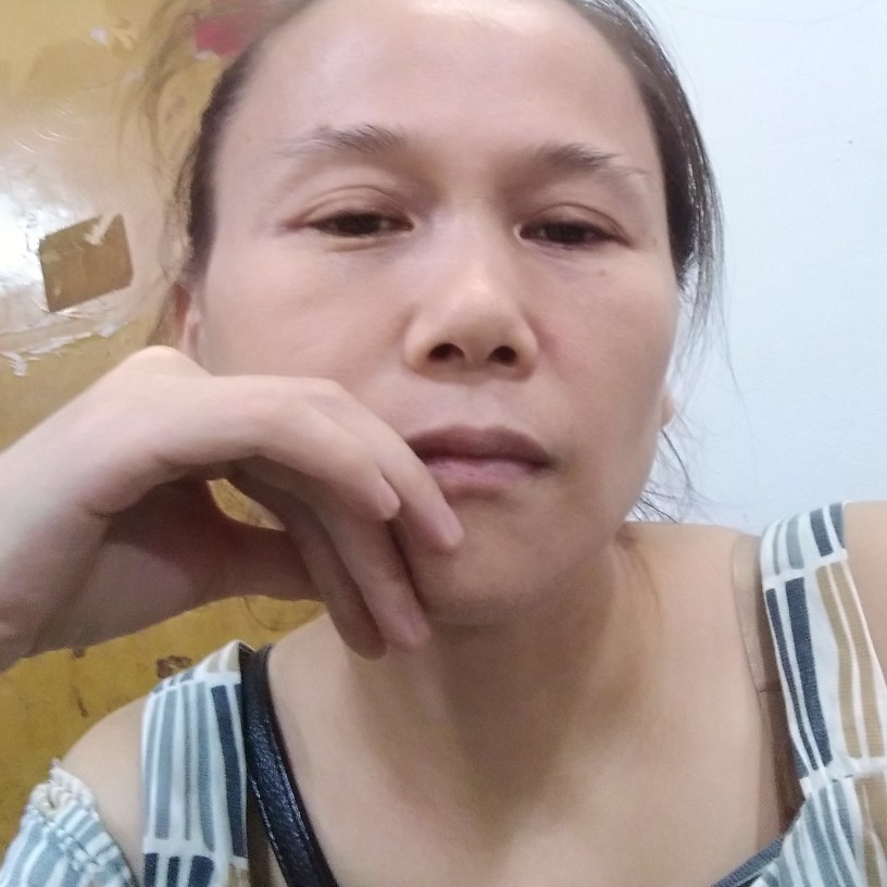 灰狼冷酷的照片