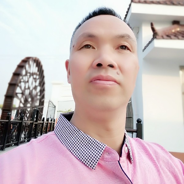 树叶和畅快的照片