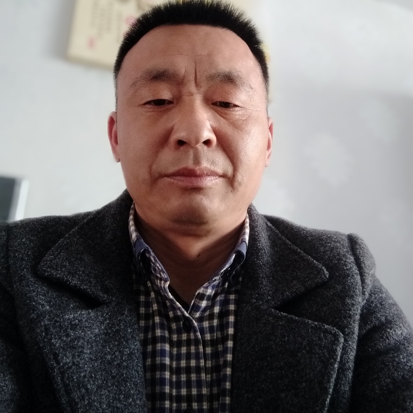 自由深拥大雁的照片