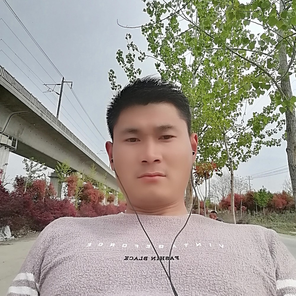 一支小鸟的照片