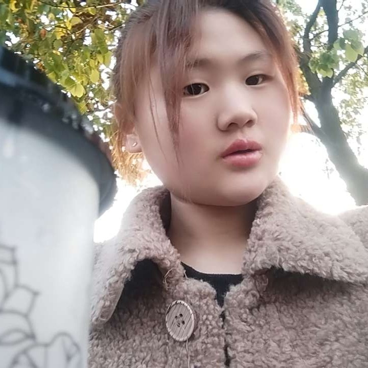 小鸽子有合适的照片