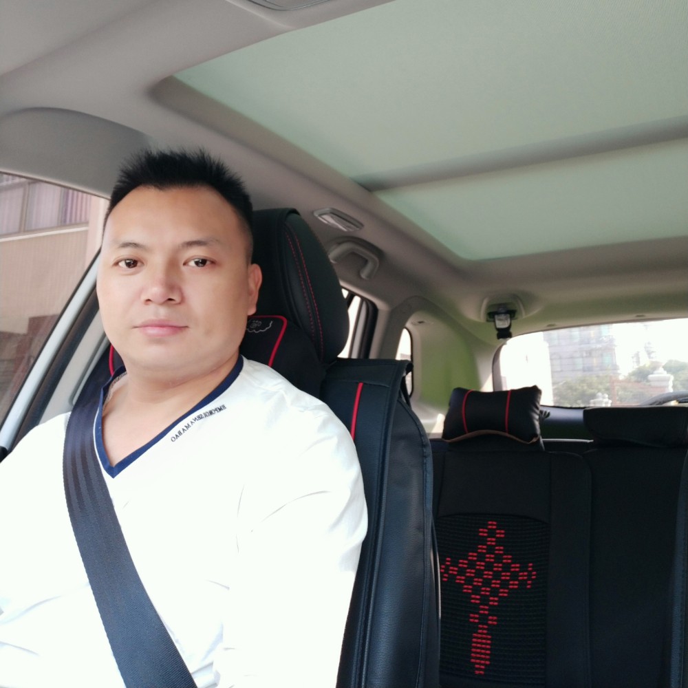 惊鸿迅速的照片