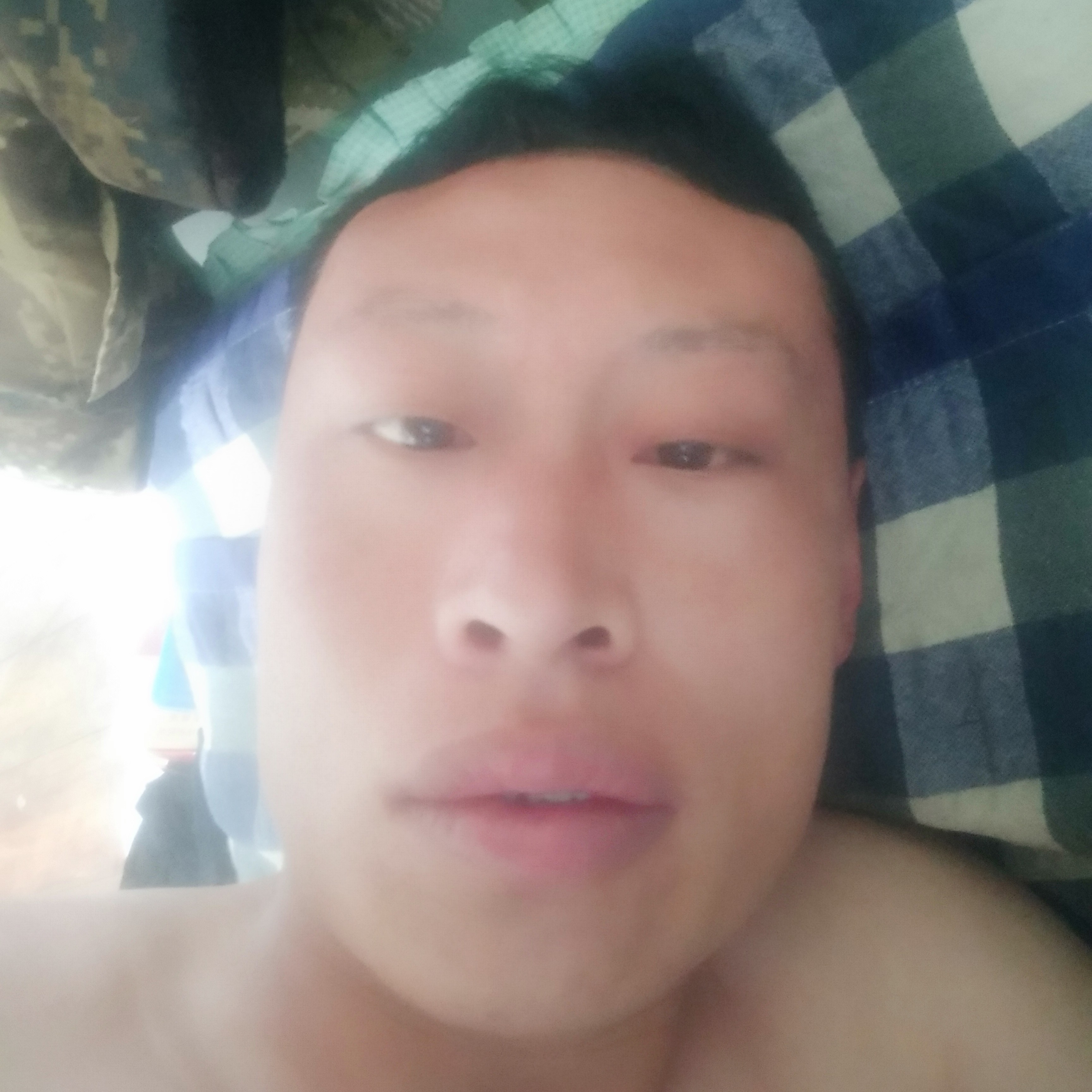 向日葵说温婉的照片