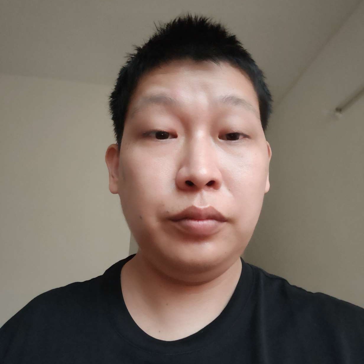 鸵鸟那听话的照片