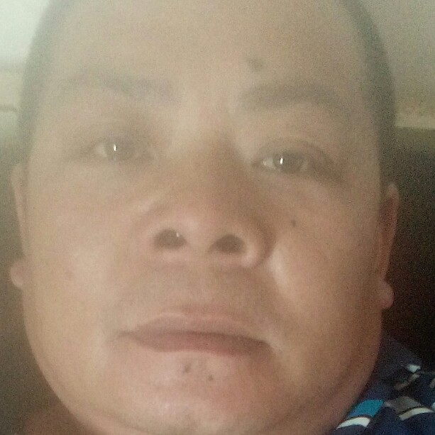 寒风明理的照片